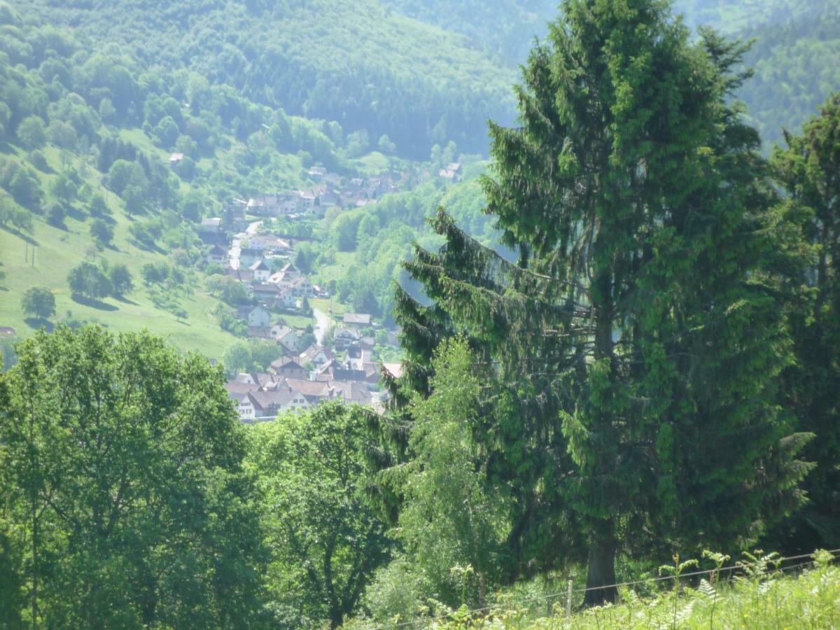 Maison D'hôtes Du Landersbach Sondernach Extérieur photo